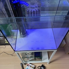 ‼️最終値下げ‼️オーバーフローガラス水槽セットの画像
