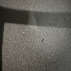 鋳鉄フライパン 25cm ノンスティック 両手鍋　キャンプ・グリルの画像