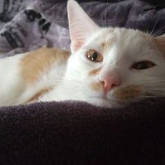 6ヶ月甘えん坊で活発な女の子