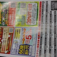 ドラッグストア　セイムス　割引クーポン　新聞折り込みチラシ。ほかにも、無料の雑誌、つけえり、50円のカーディガンだしてます。本日午後１時～２時、大森日赤病院前まで、これる方よろしくお願いいたします。の画像