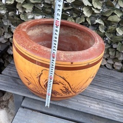 睡蓮鉢②の画像