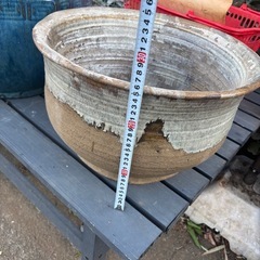 睡蓮鉢③の画像