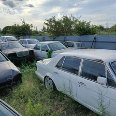 オールドMベンツ126-123-124-116-107-129-190-108-114-140-220リサイクル部品取り車の画像