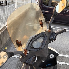 シグナスX  不動車の画像