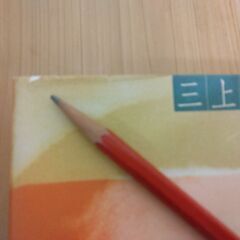 『お父さんが見た海』三上 寛　思潮社の画像