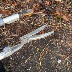 枝切りハサミの画像