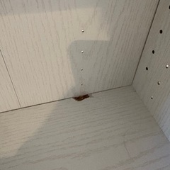 【無料】ニトリ カラーボックス（白）の画像