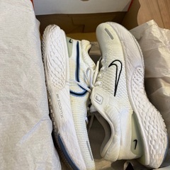 ナイキ インヴィンシブルラン 29cmの画像