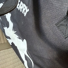 保冷バッグ？の画像