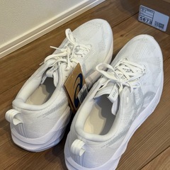 アシックス ノヴァブラスト5  29cmの画像