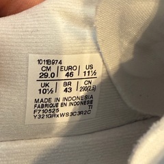 アシックス ノヴァブラスト5  29cmの画像