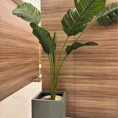 観葉植物　フェイクグリーンの画像