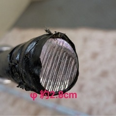 東ZE371 バーベルシャフト EZバー 120cm Wバー バーベルバー バーベル トレーニング エクササイズ ジム の画像