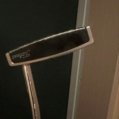 タイトリストスコッティキャメロンパターの画像