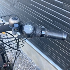 価格交渉可‼️2018年製ルイガノ社20インチ電動アシスト自転車の画像