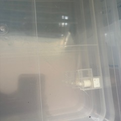 ニトリ　ベッド下収納の画像