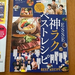 ESSE 1月号　ムーミン家計簿付の画像