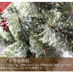クリスマスツリー　150cmの画像