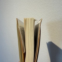 ふしぎの旅人の画像