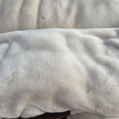 ニトリこたつ布団　正方形　　の画像