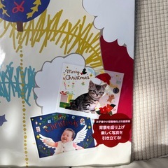 未開封　バックグラウンドスタジオの画像