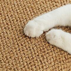 大特価❕60×90 猫用 爪とぎ 爪研ぎ マット 傷防止 多頭飼い お洒落の画像