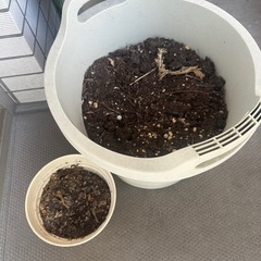 プランター、土等園芸用品の画像
