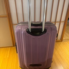 （TSA002）紫色キャリーバックの画像