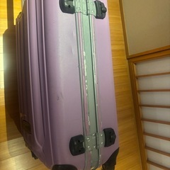 （TSA002）紫色キャリーバックの画像