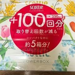 ティッシュの画像