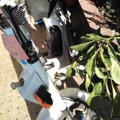 ②実働　CF50 　シャリー50の画像