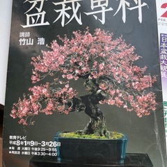 最後！今日まで！盆栽　　本の画像
