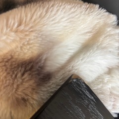 ※最終お値下げ※ダイニングテーブル 180cm 大人数 ゆったり 黒の画像