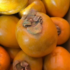 愛宕柿(渋抜き)の画像