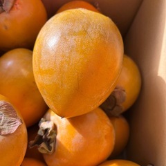 愛宕柿(渋抜き)の画像