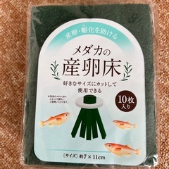 めだか　金魚　飼育　水槽　セット　の画像