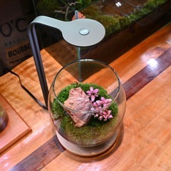 LEDSTAR 水槽 ライト モデル DOT【RGBW コンパクトライト】LEDライトの画像