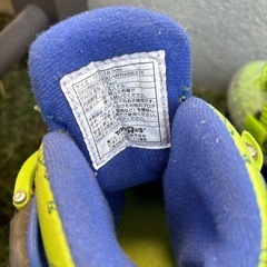 ローラースケートの画像