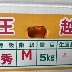 みかんMサイズ5キロ1箱の画像