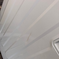 Haier   洗濯機(4.5kg) 2020年製の画像