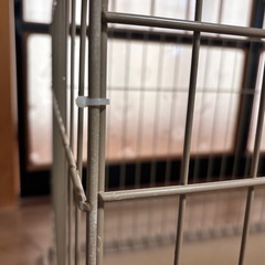 犬ゲージサークルの画像