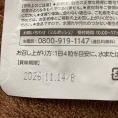 葉酸サプリの画像