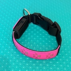 犬の首輪の画像