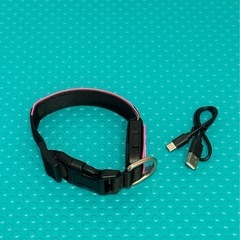 犬の首輪の画像