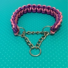 犬の首輪の画像