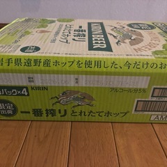 AM248 キリン一番搾り とれたてホップ 350ml×24本の画像