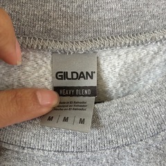 グレートレーナーの画像