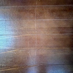 ウッドカーペット お話し中の画像