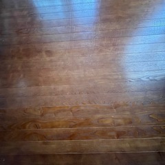 ウッドカーペット お話し中の画像