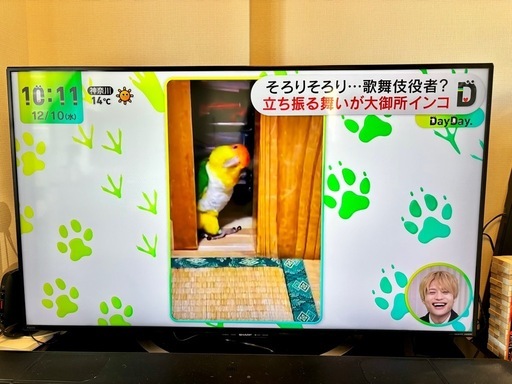 美品 シャープAQUOS LC-50U45 4K対応液晶テレビ